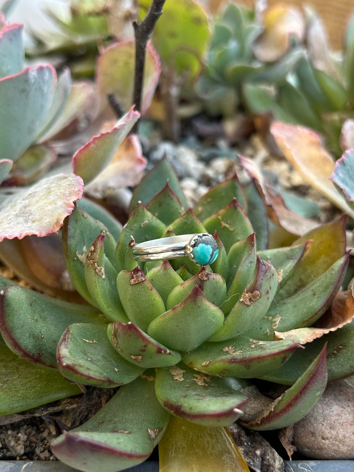 Mini Tibetan Turquoise Double Band Sterling Silver Ring