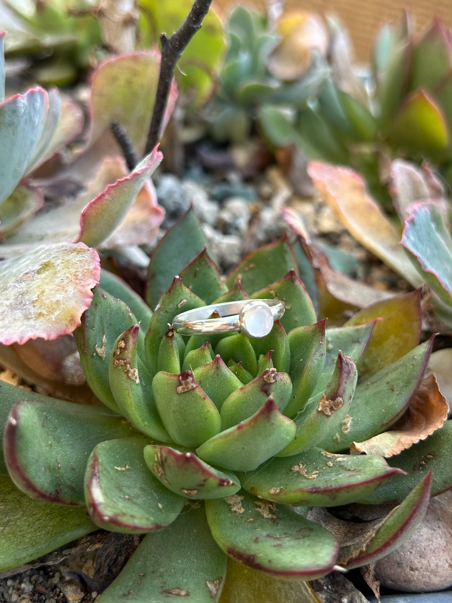 Mini Moonstone Sterling Silver Ring