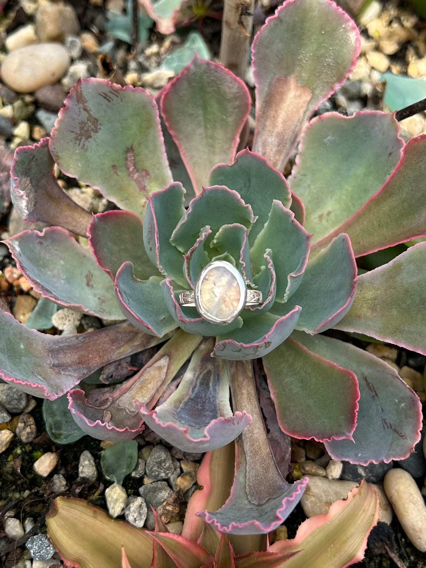 Moonstone Oval Sterling Silver Ring