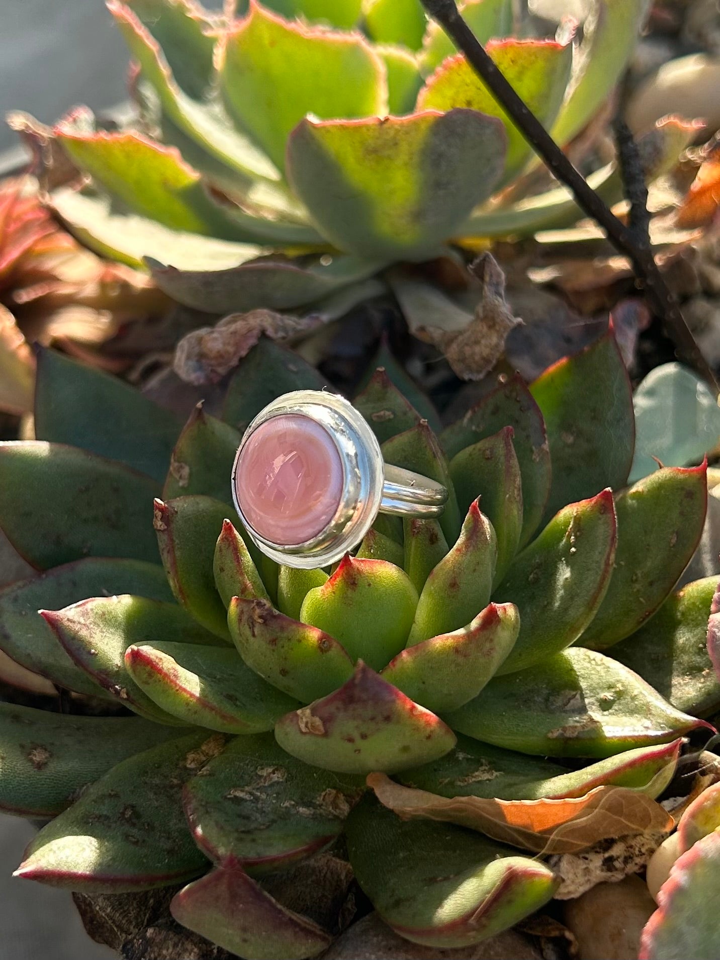 Pink Queen Conch Shell Sterling Silver Ring