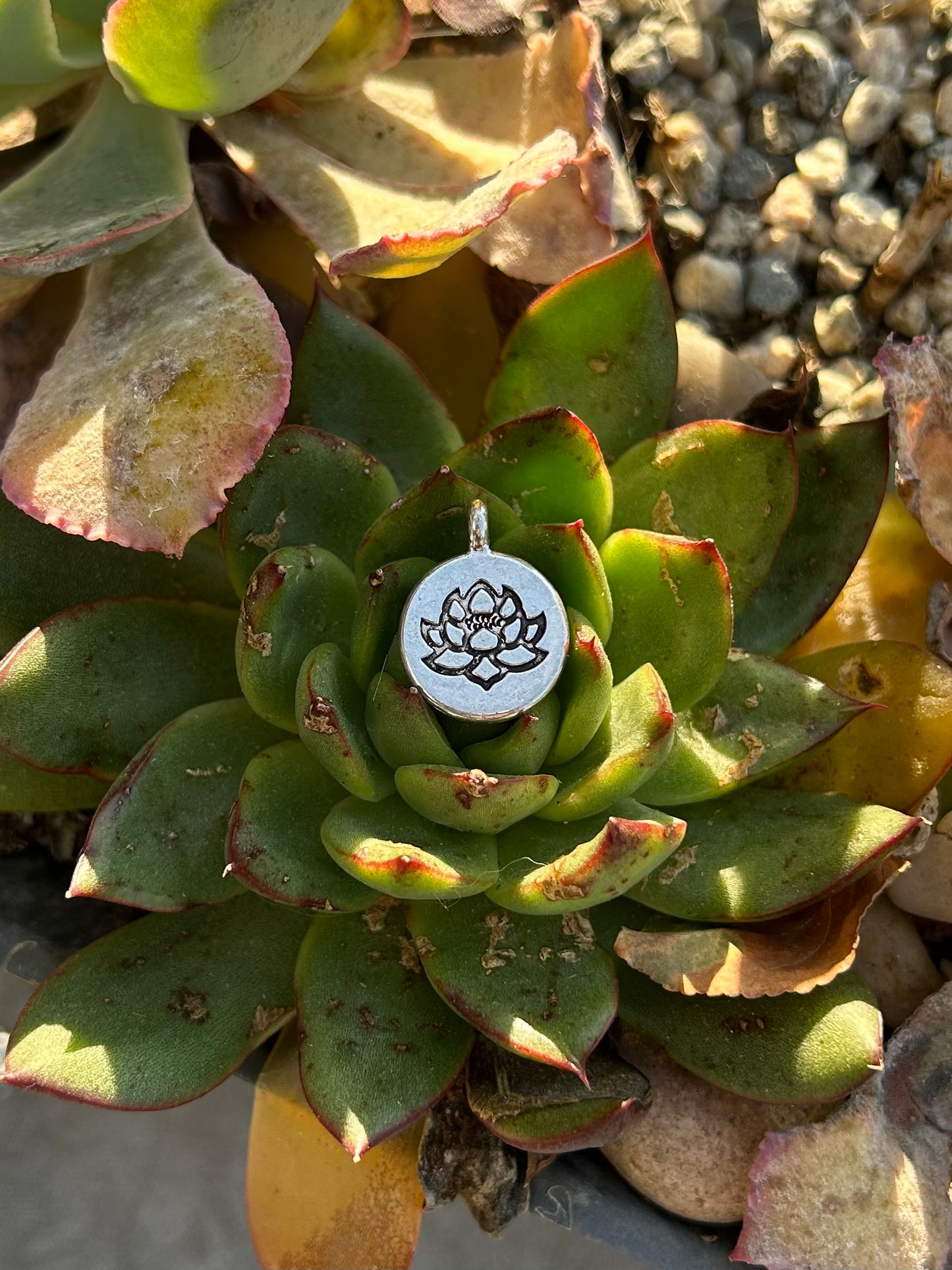 Sterling Silver Assorted Charms
