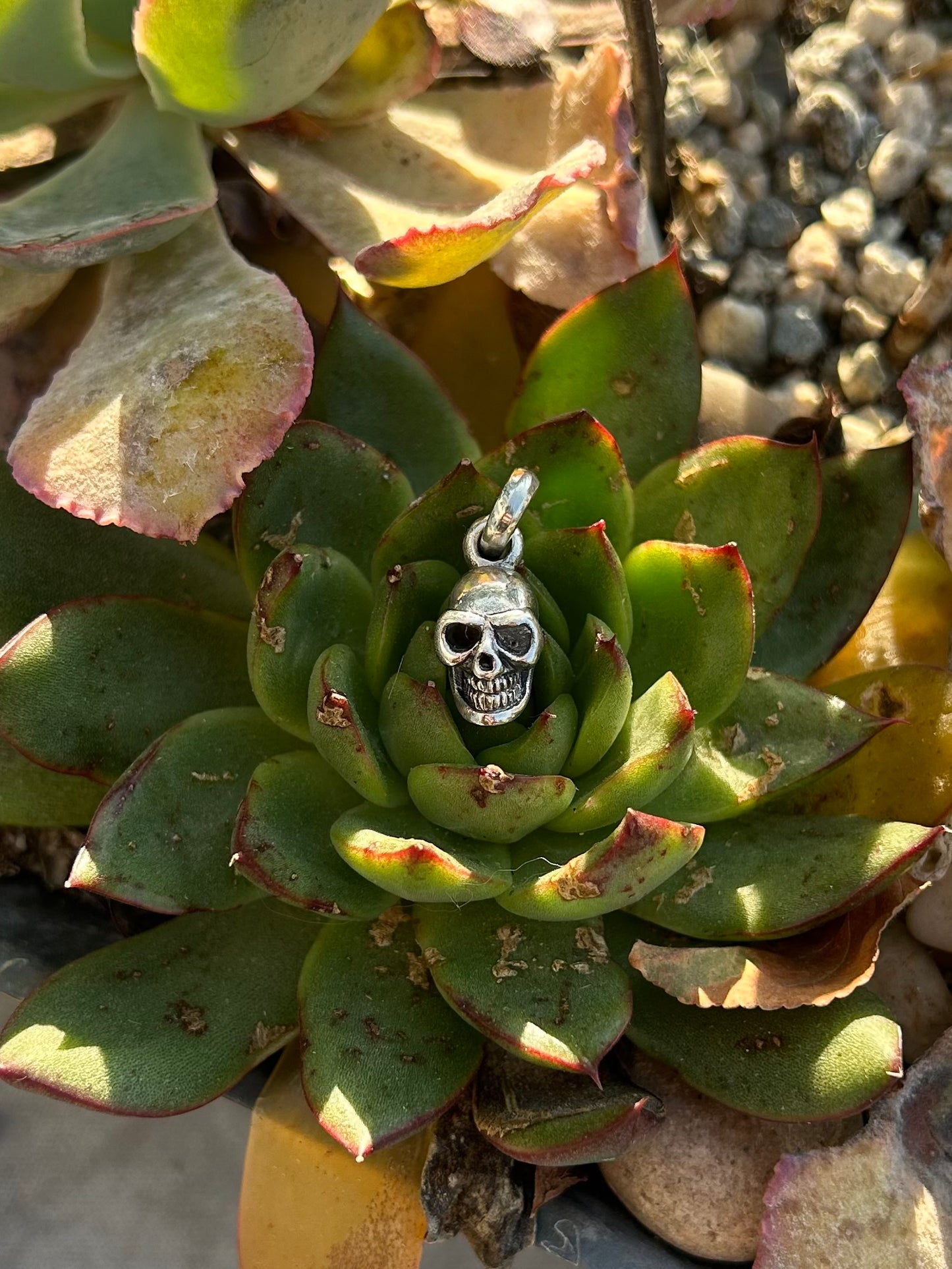 Sterling Silver Assorted Charms