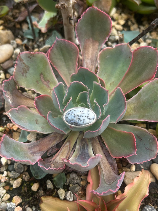 Dendritic Agate Sterling Silver Ring