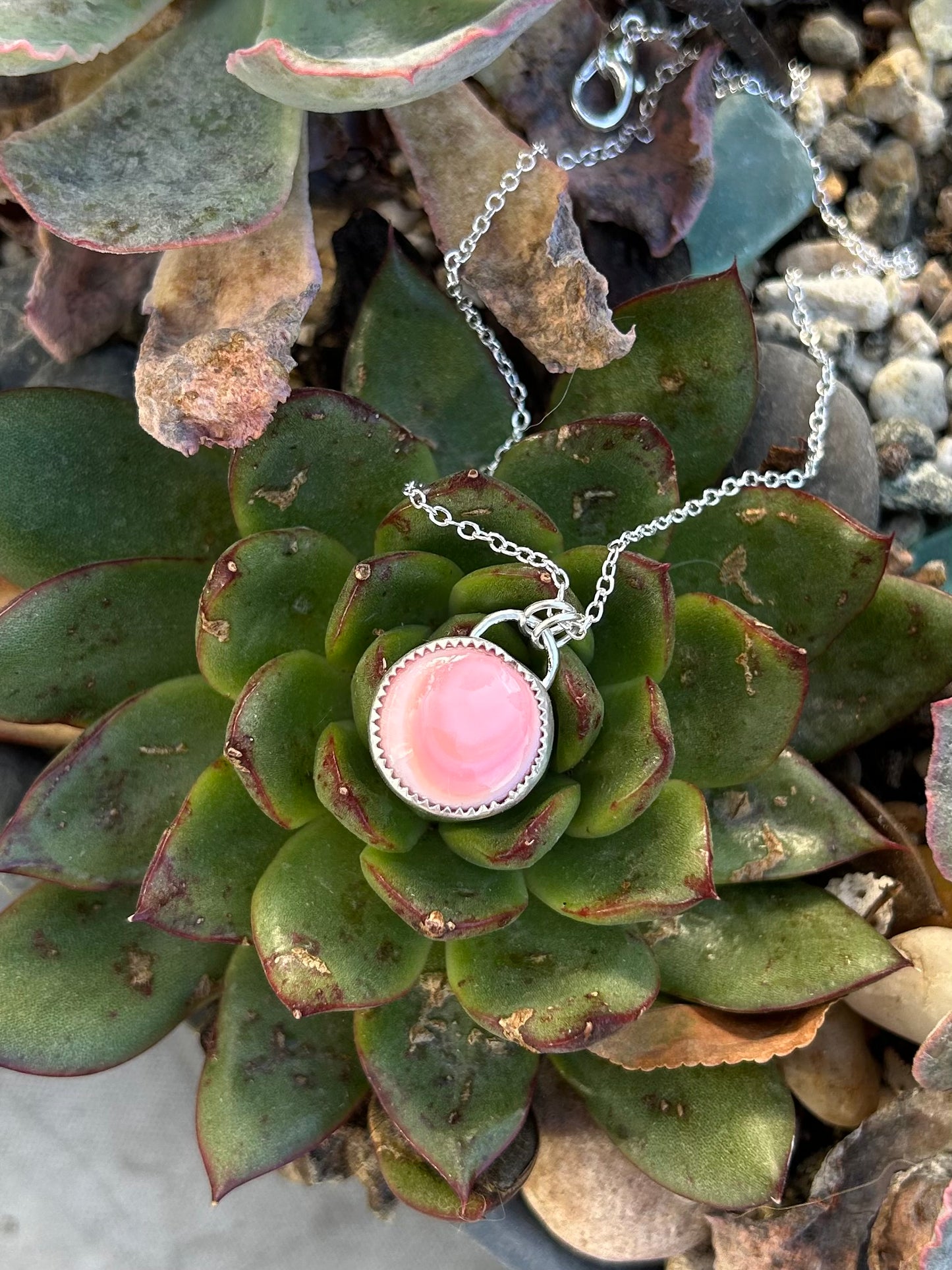 Pink Queen Conch Sterling Silver Necklace