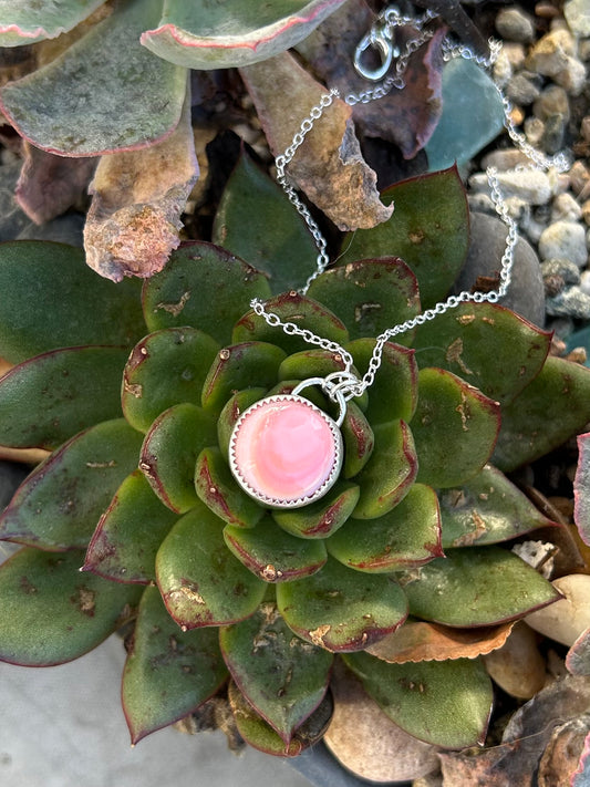 Pink Queen Conch Sterling Silver Necklace