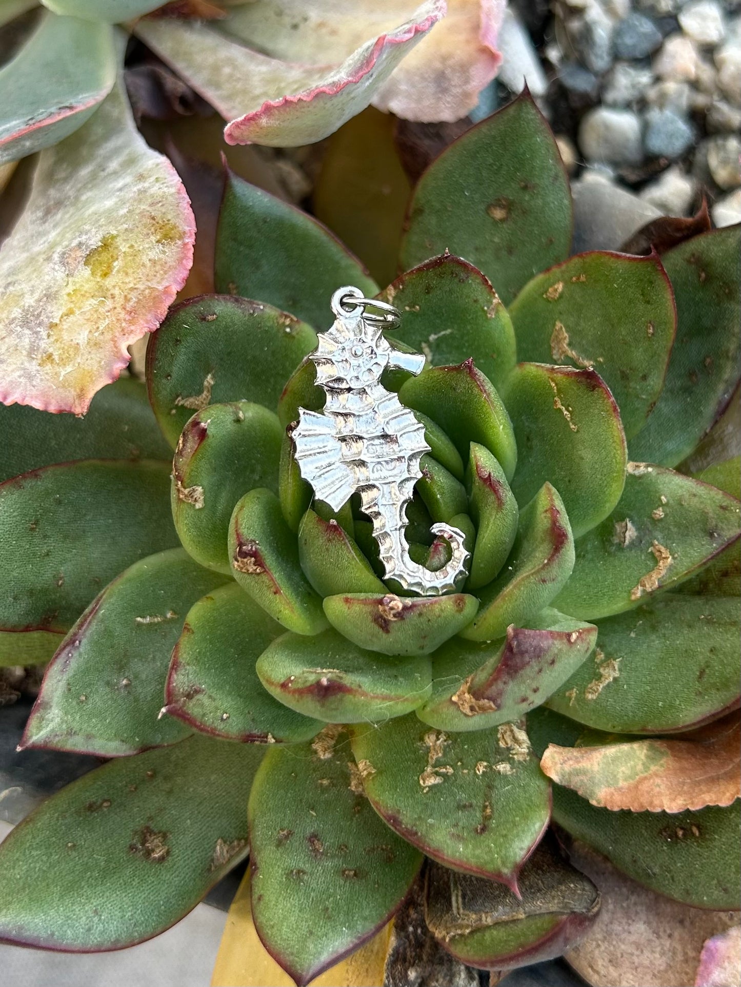Sterling Silver Assorted Charms