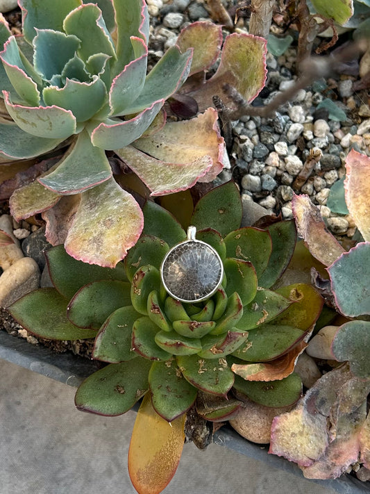 Black Coral Pendant