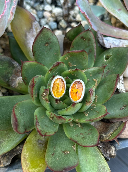 Amber Sterling Silver Earrings