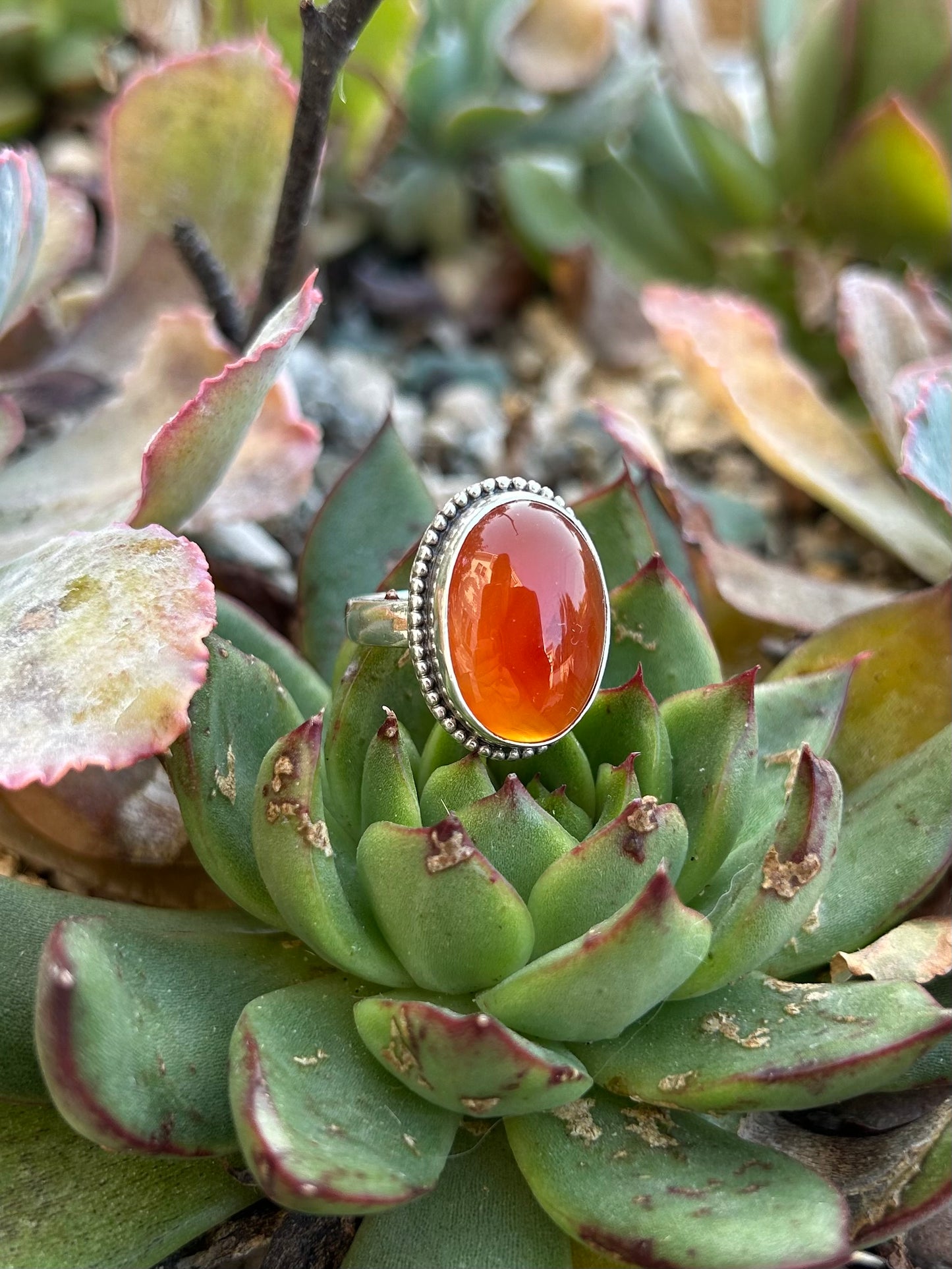 Carnelian Sterling Silver Ring