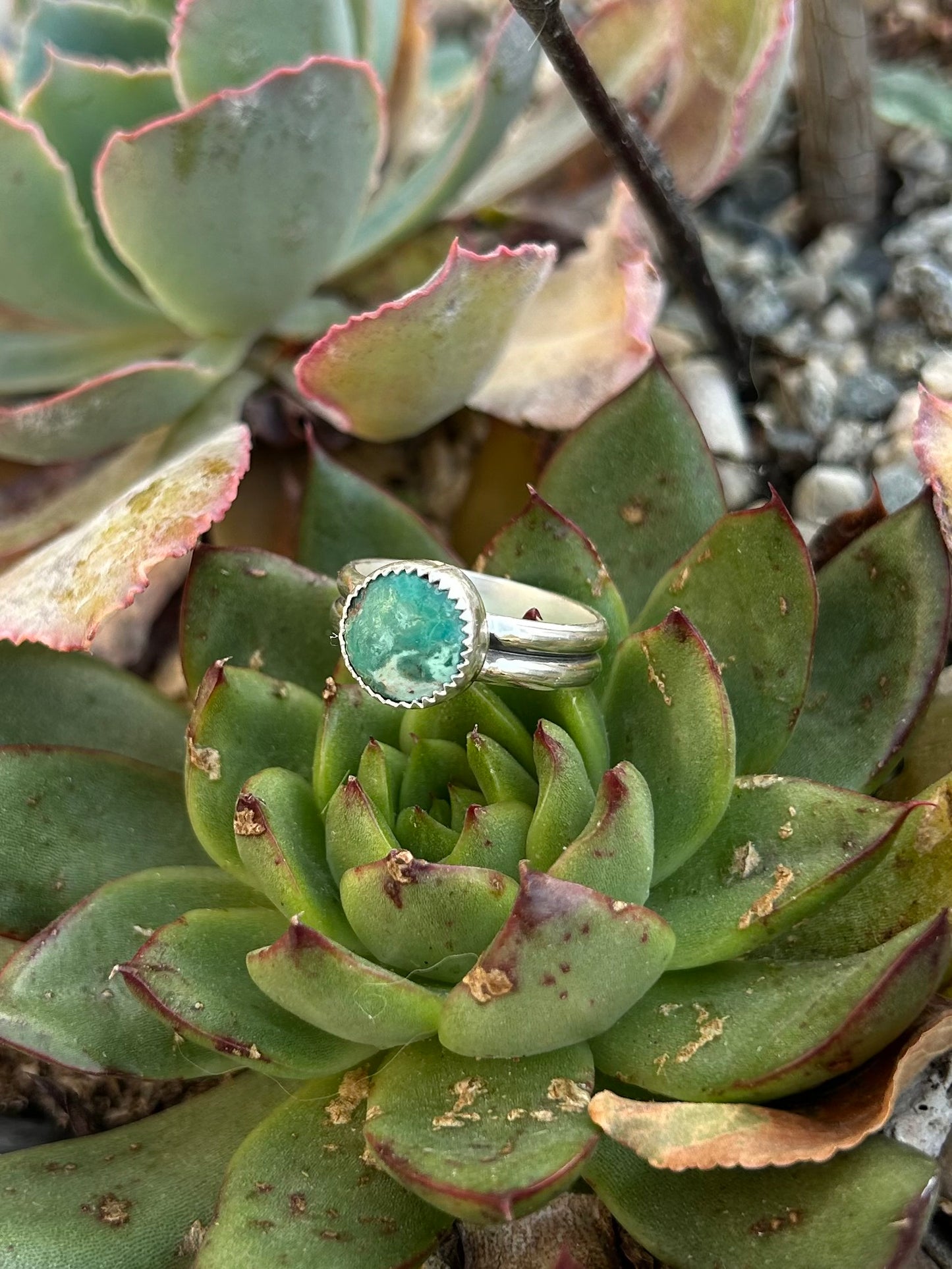 Tibetan Turquoise Sterling Silver Double Band Ring