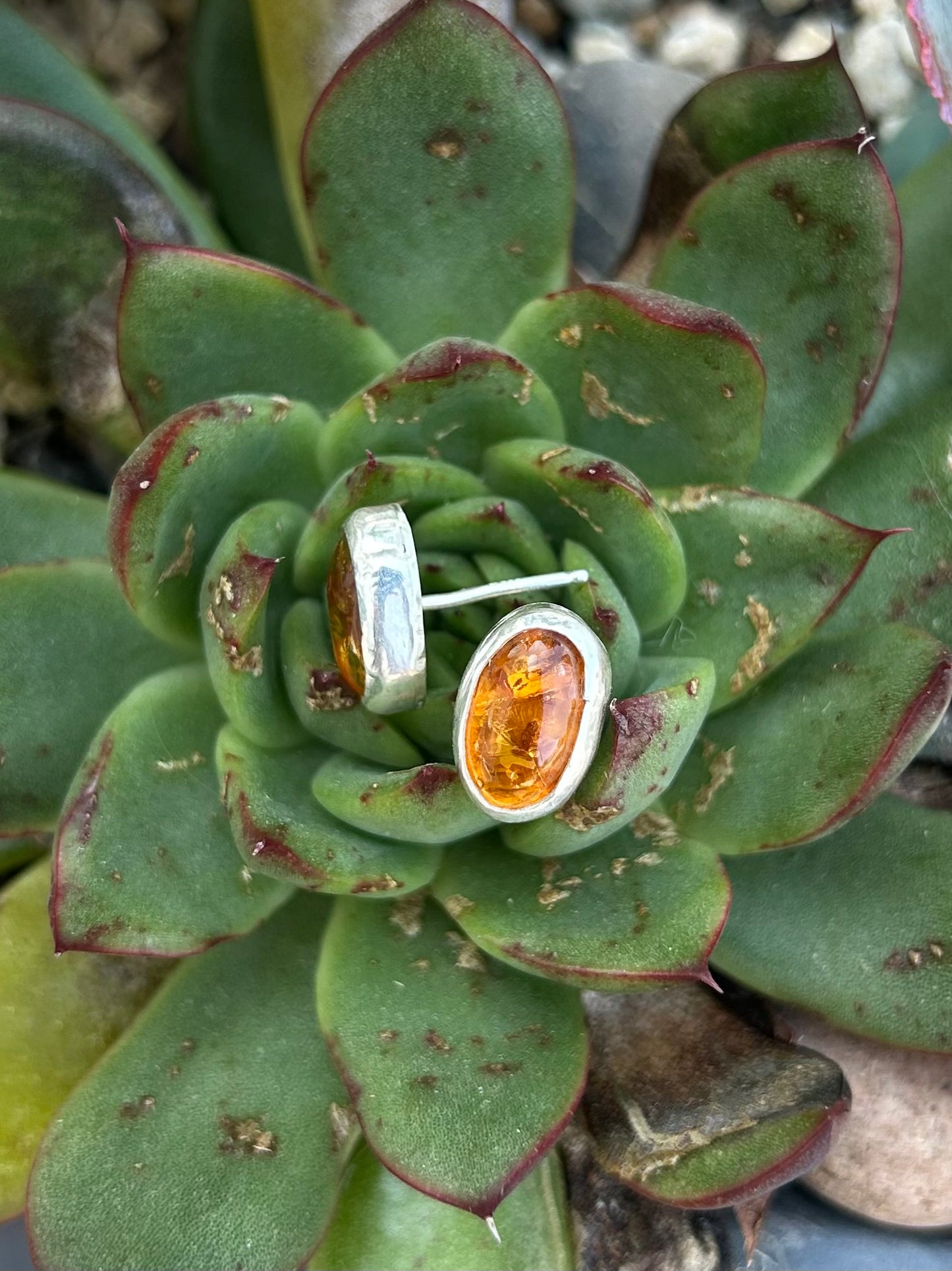 Amber Sterling Silver Earrings