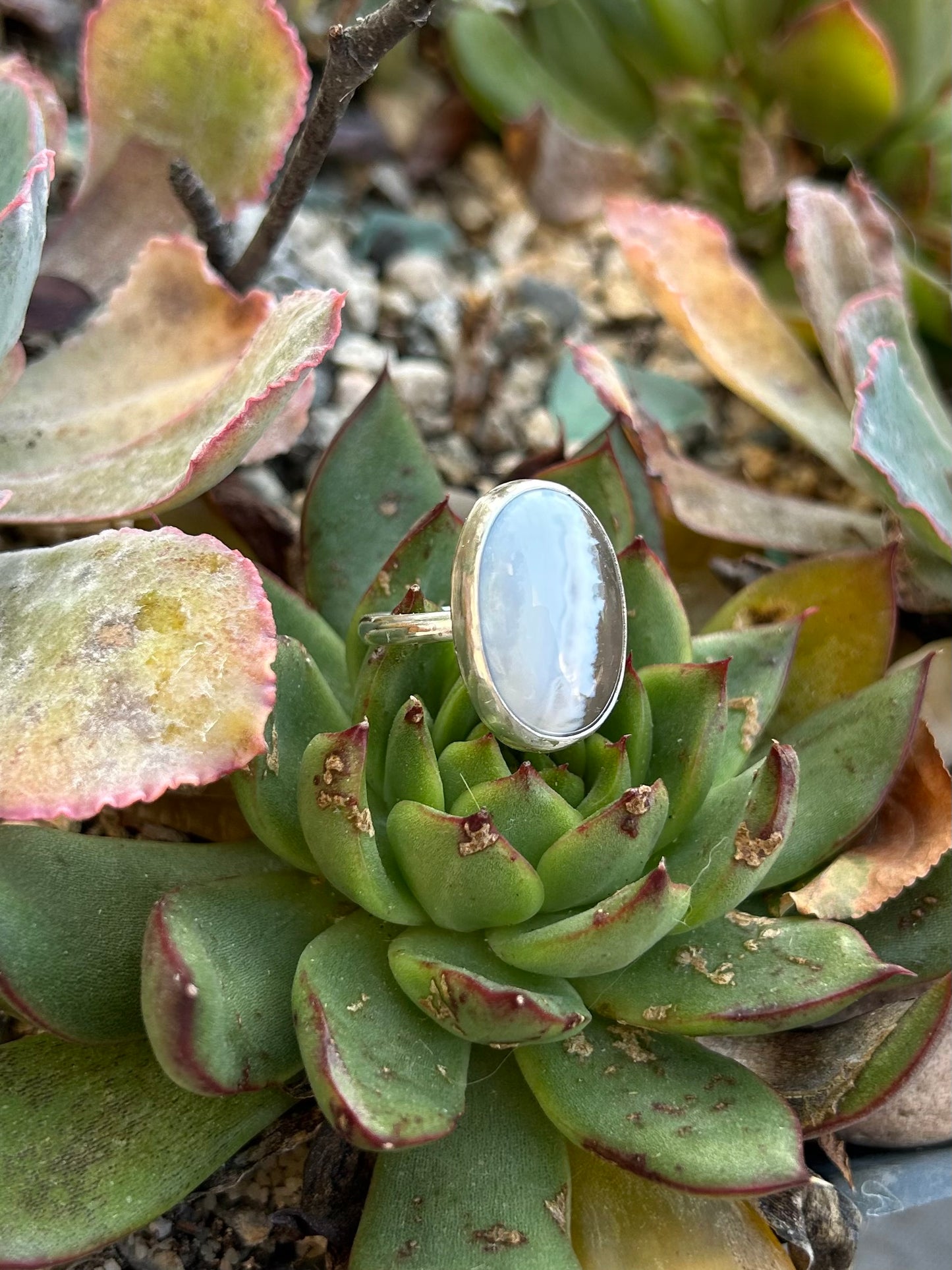 Ocean Picture Stone Sterling Silver Ring