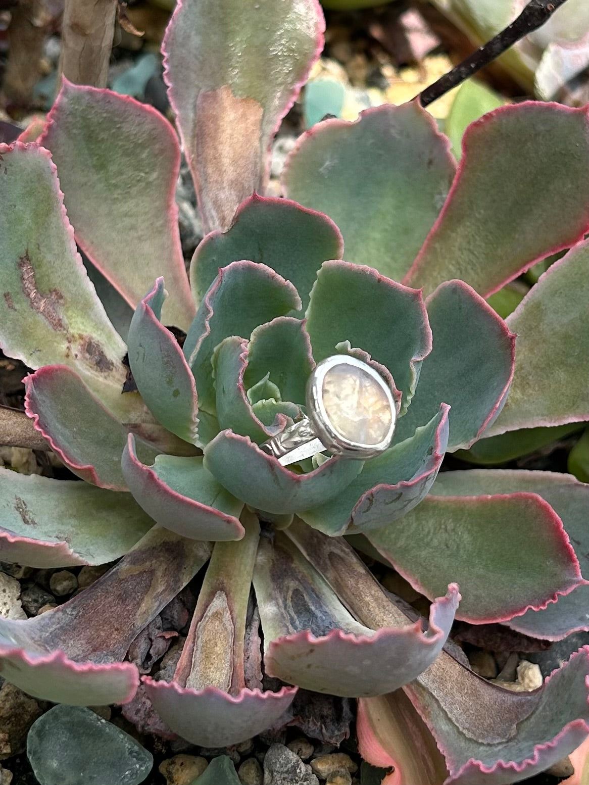 Moonstone Oval Sterling Silver Ring