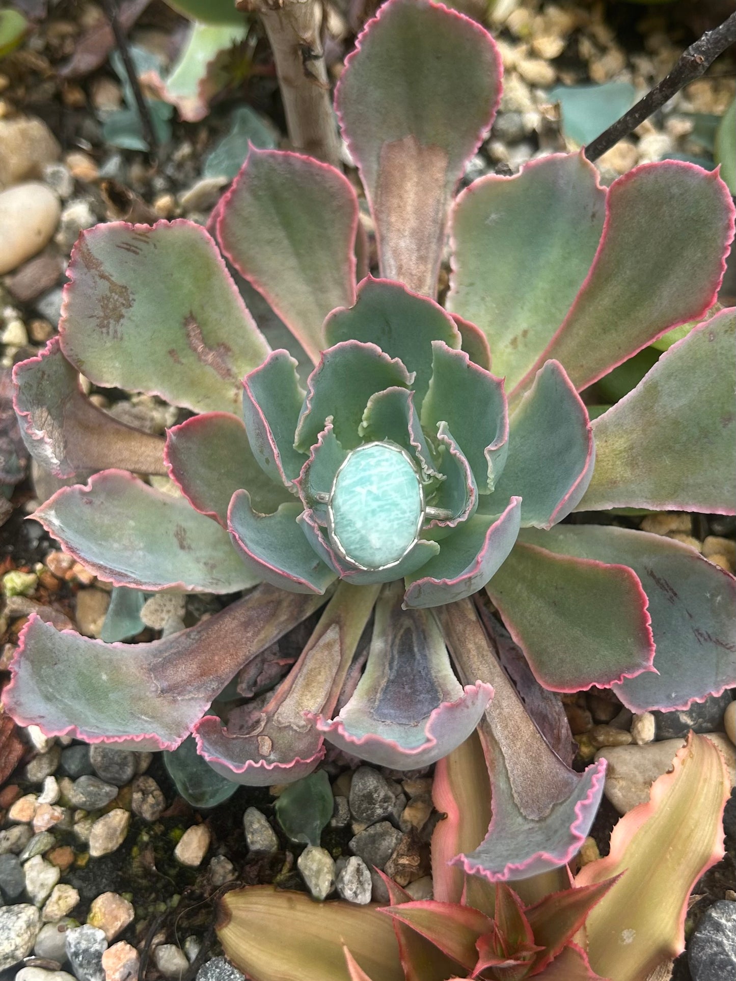 Amazonite Sterling Silver Ring