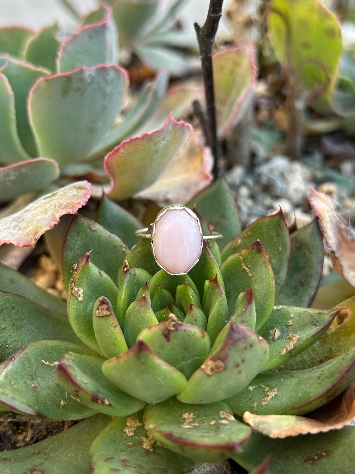 Pink Opal Sterling Silver Ring