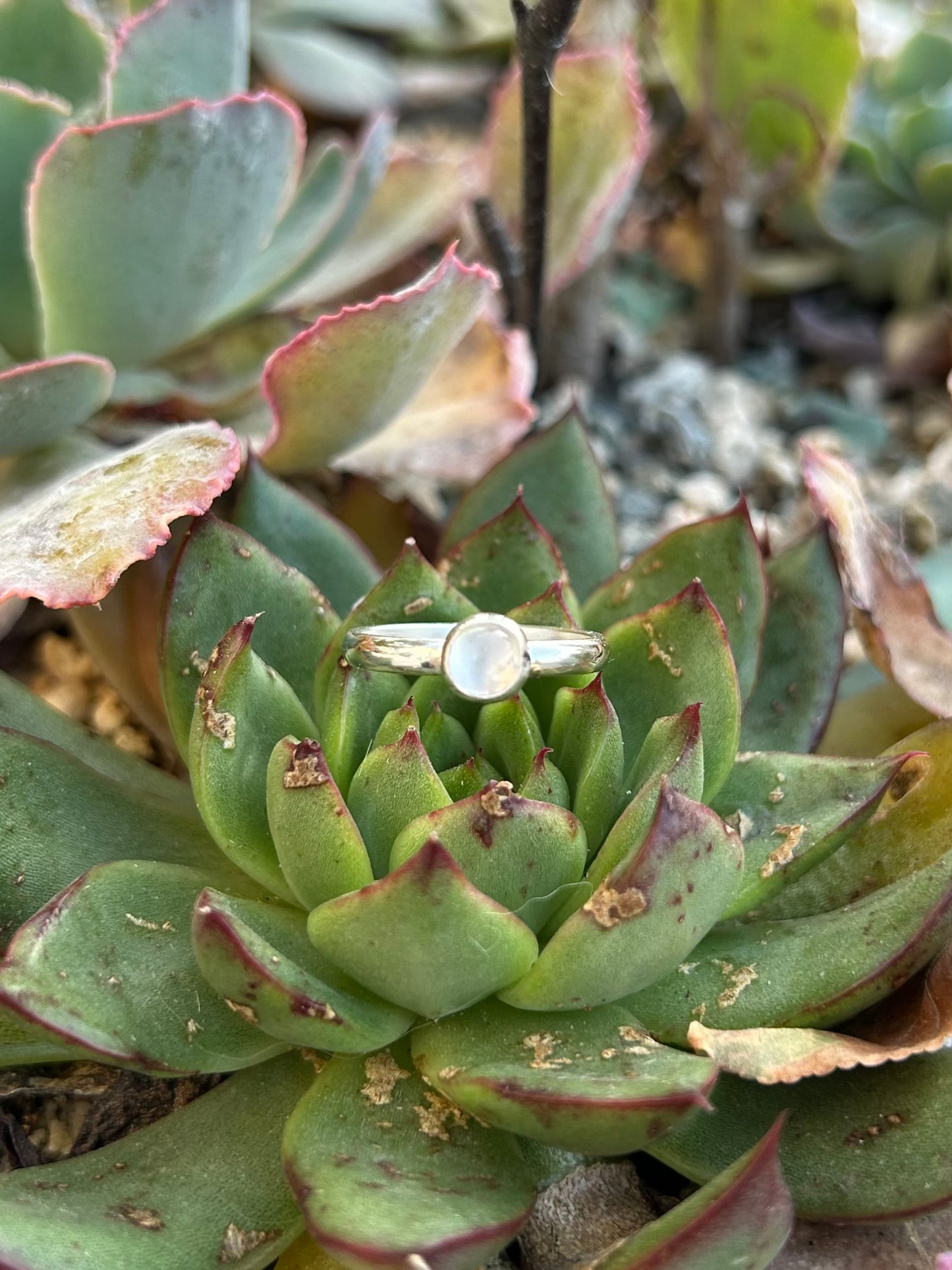 Mini Moonstone Sterling Silver Ring