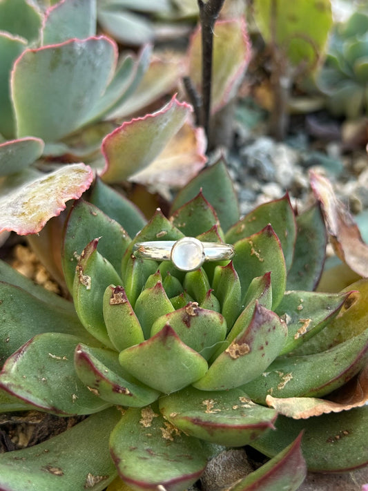 Mini Moonstone Sterling Silver Ring