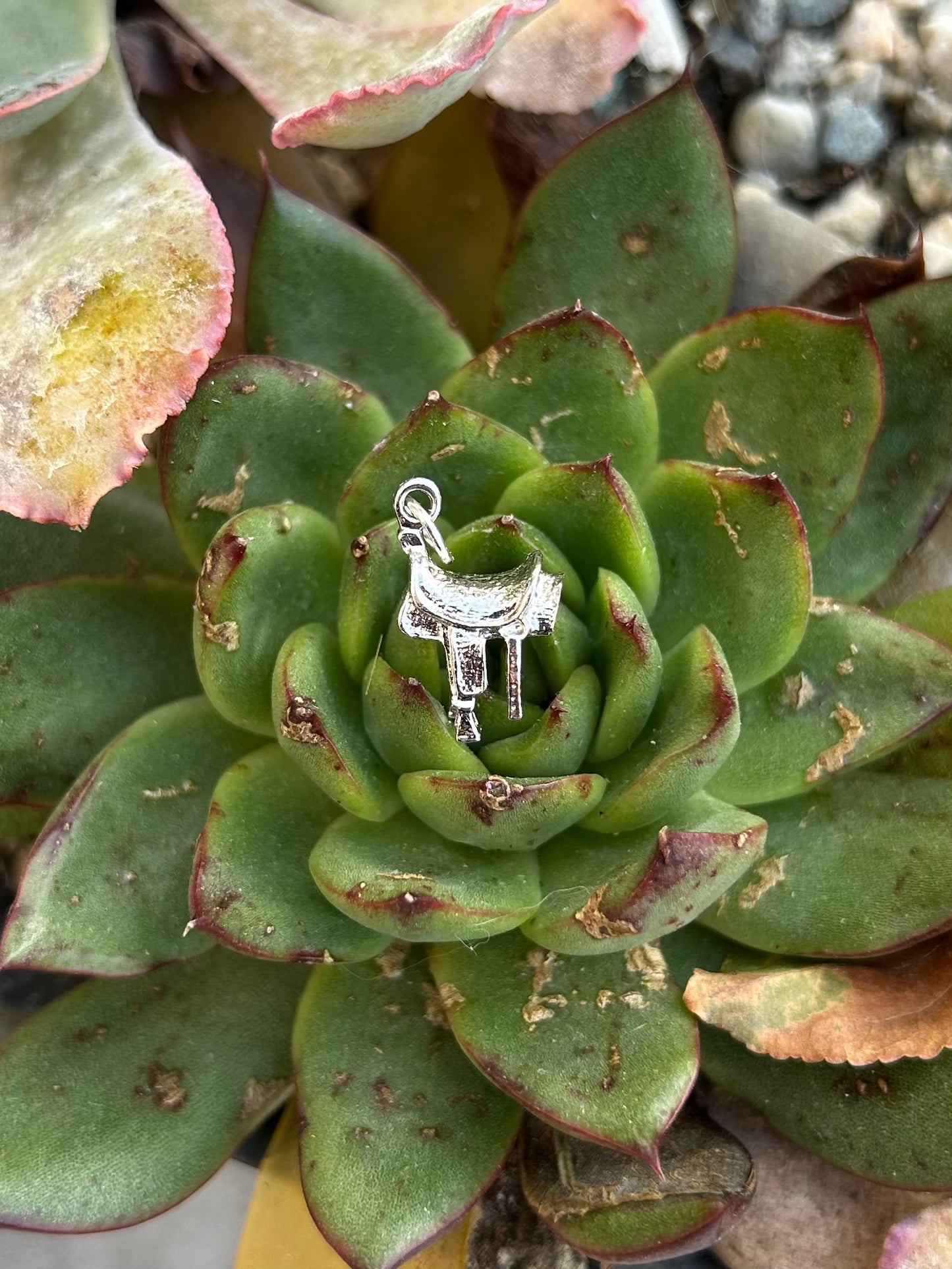 Sterling Silver Assorted Charms