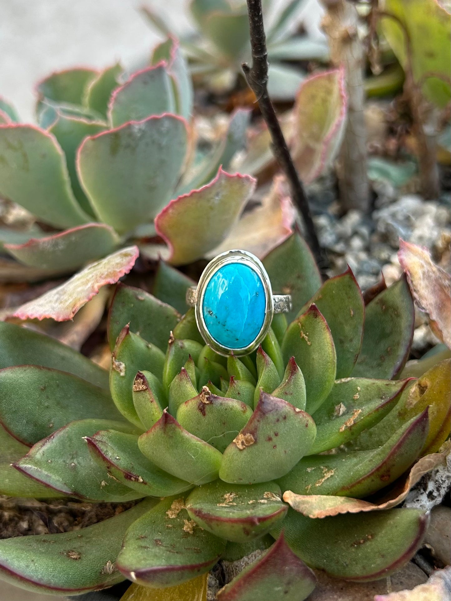 Arizona Turquoise Sterling Silver Ring