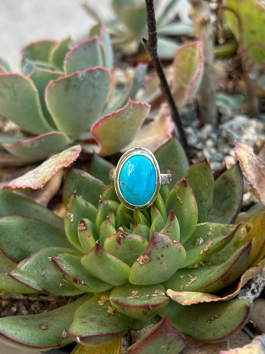 Arizona Turquoise Sterling Silver Ring