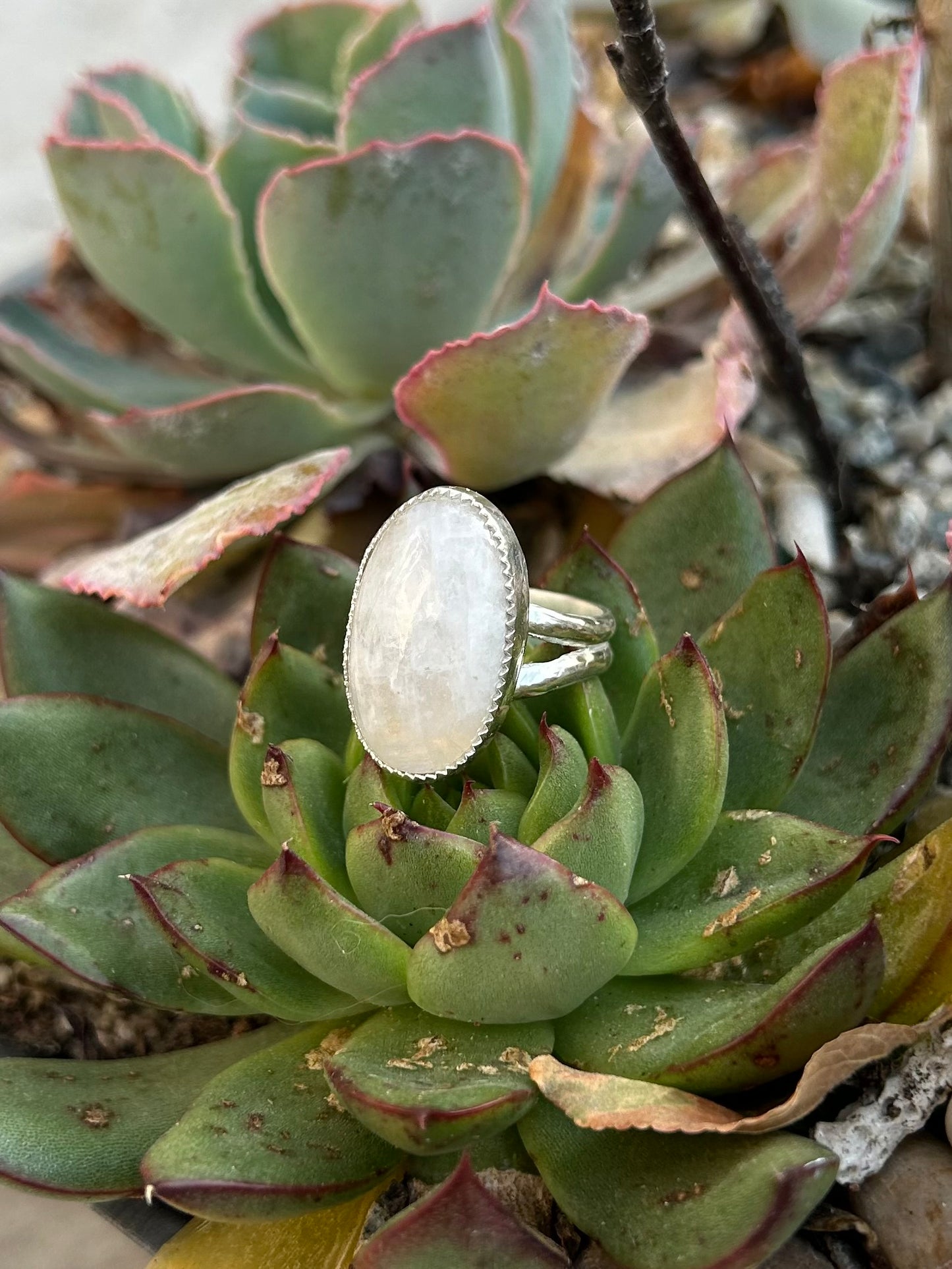 Moonstone Double Band Sterling Silver Ring