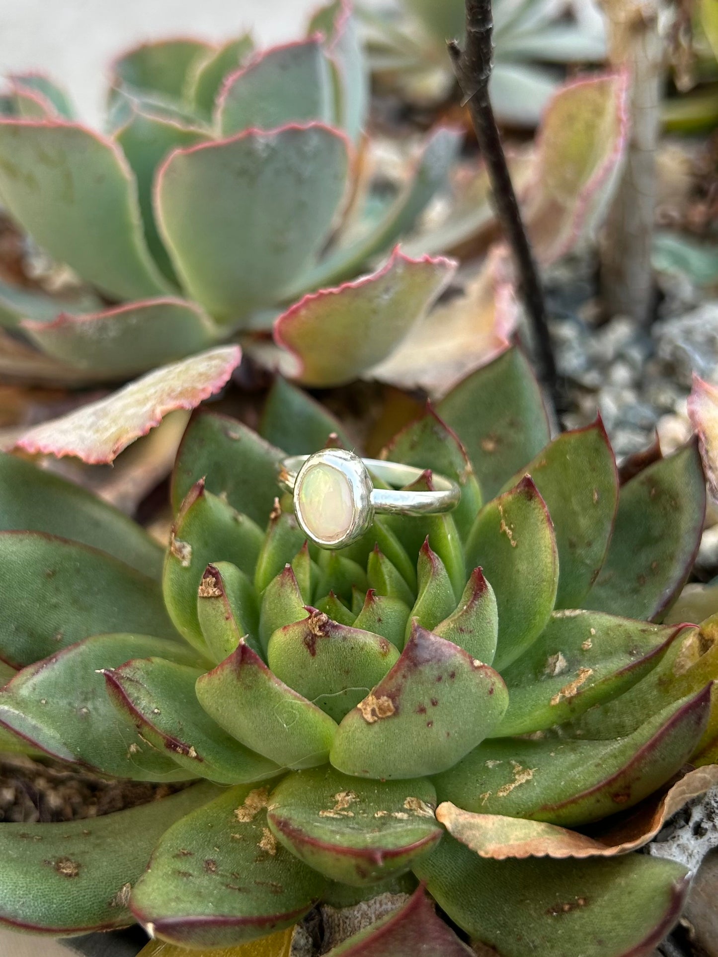 Mini Ethiopian Opal Sterling Silver Ring