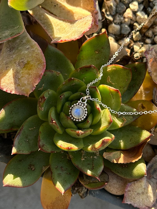 Mini Moonstone Sterling Silver Necklace