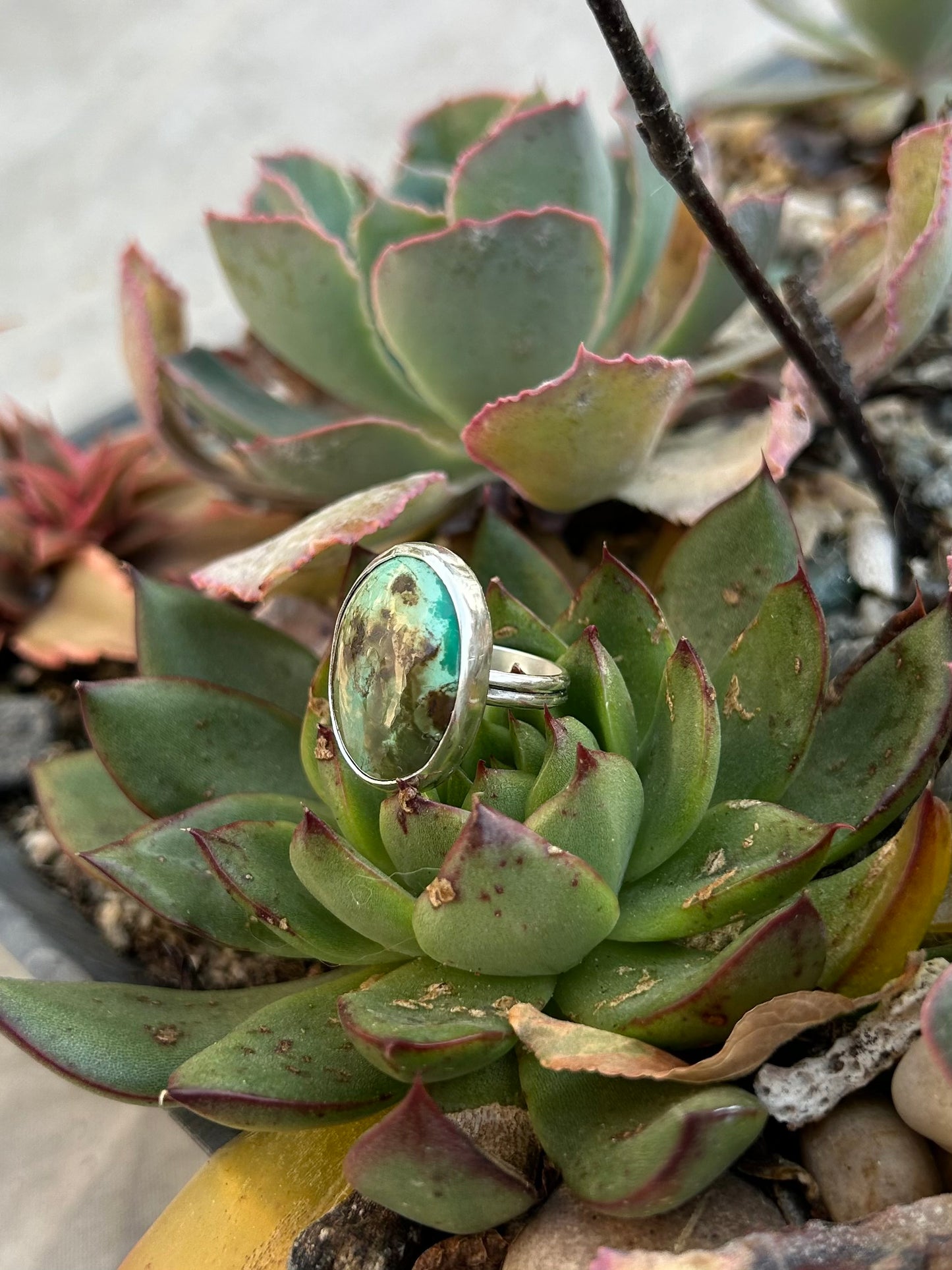 Tibetan Turquoise Sterling Silver Ring