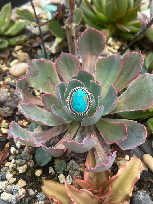 Turquoise Sterling Silver Ring