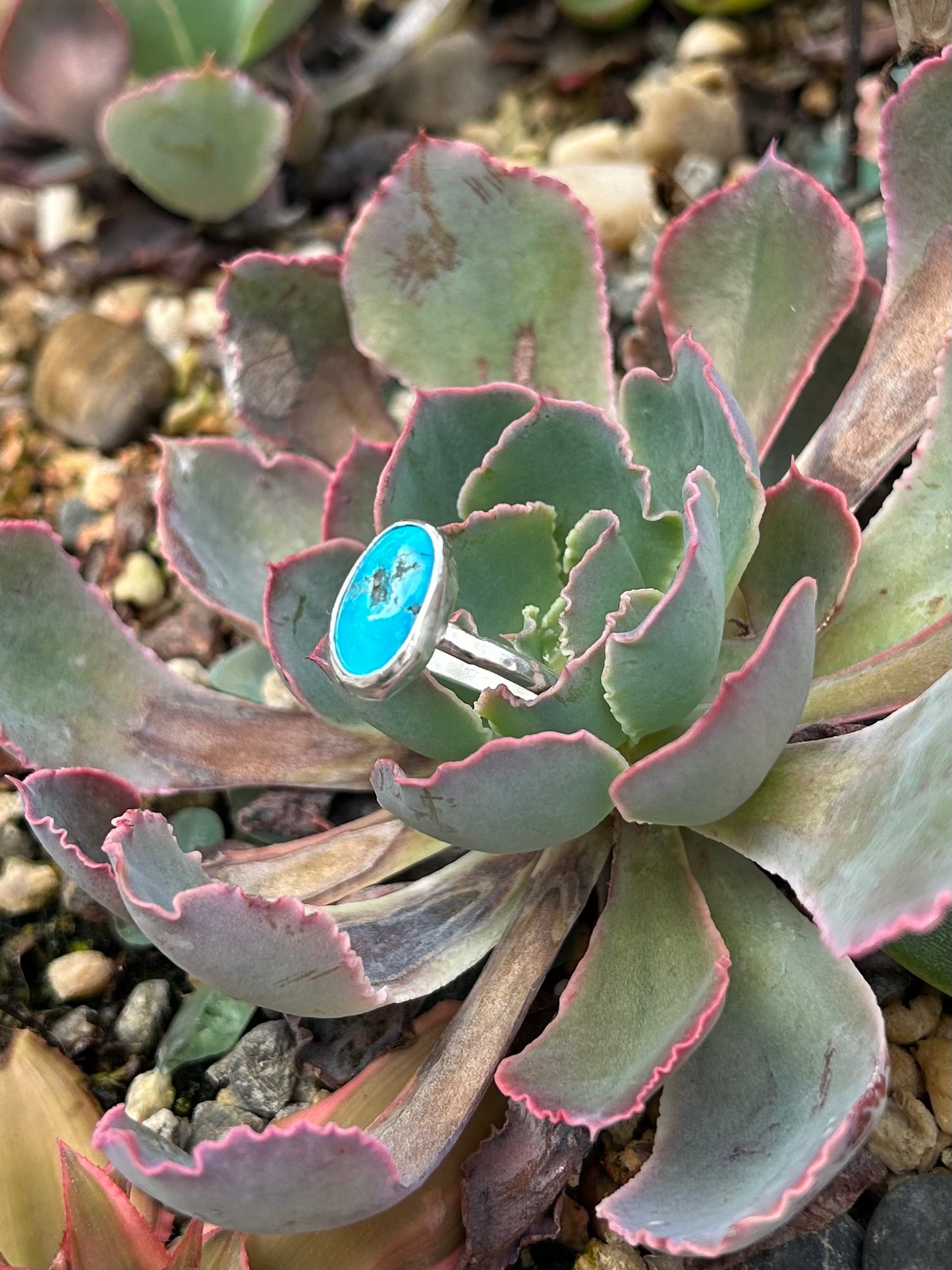 Kingman Turquoise Sterling Silver Ring