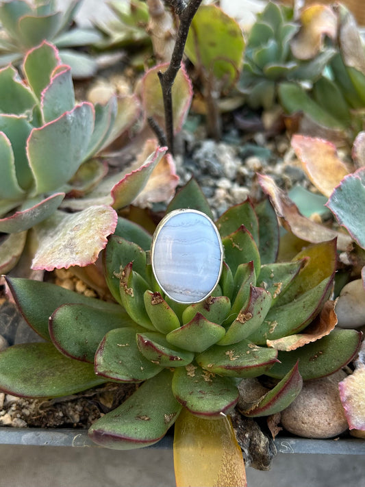 Blue Lace Agate Sterling Silver Ring