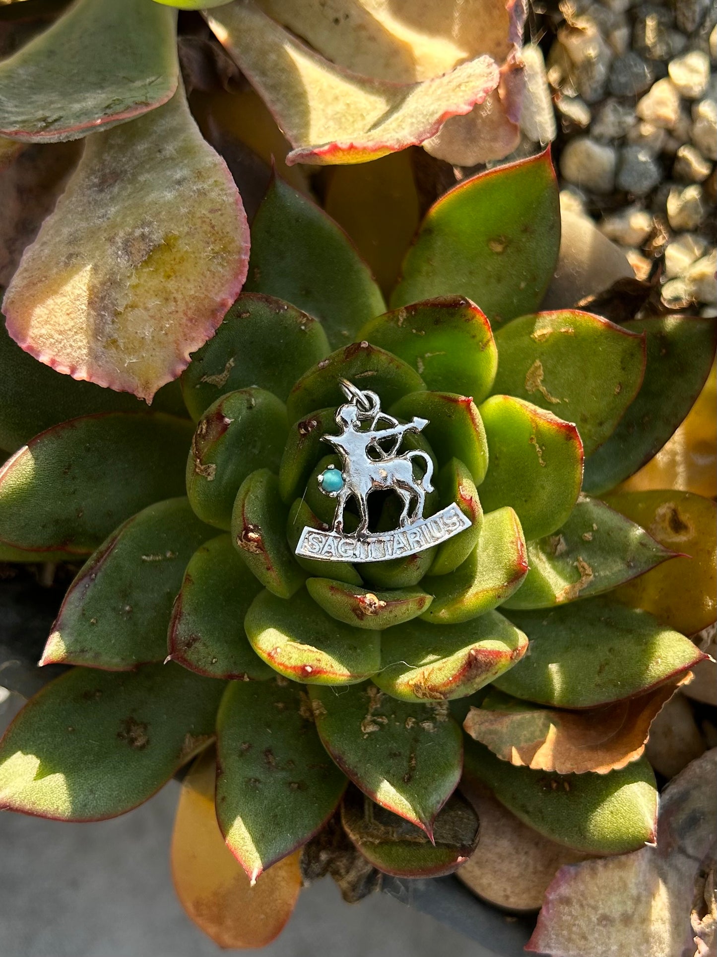 Sterling Silver Assorted Charms