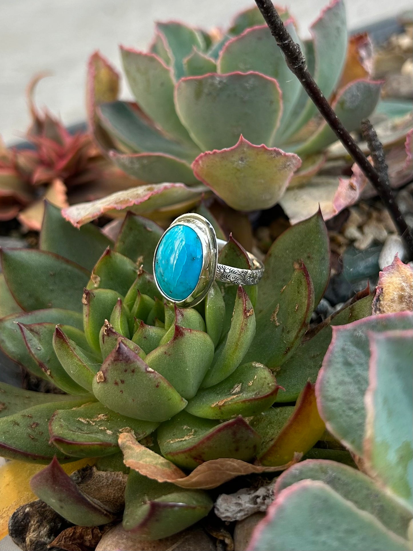 Arizona Turquoise Sterling Silver Ring
