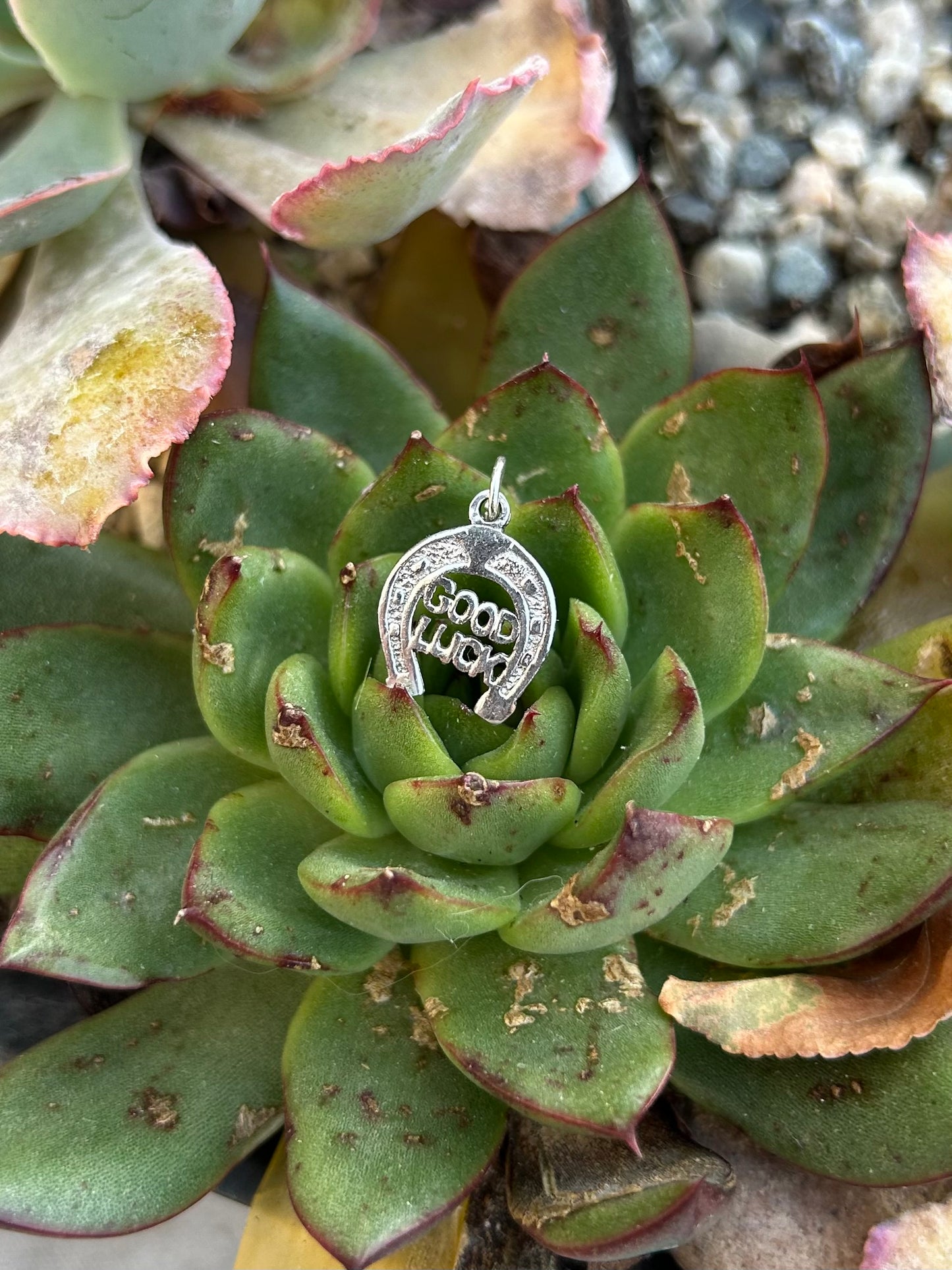 Sterling Silver Assorted Charms