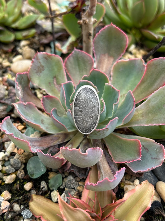 Black Coral Sterling Silver Ring