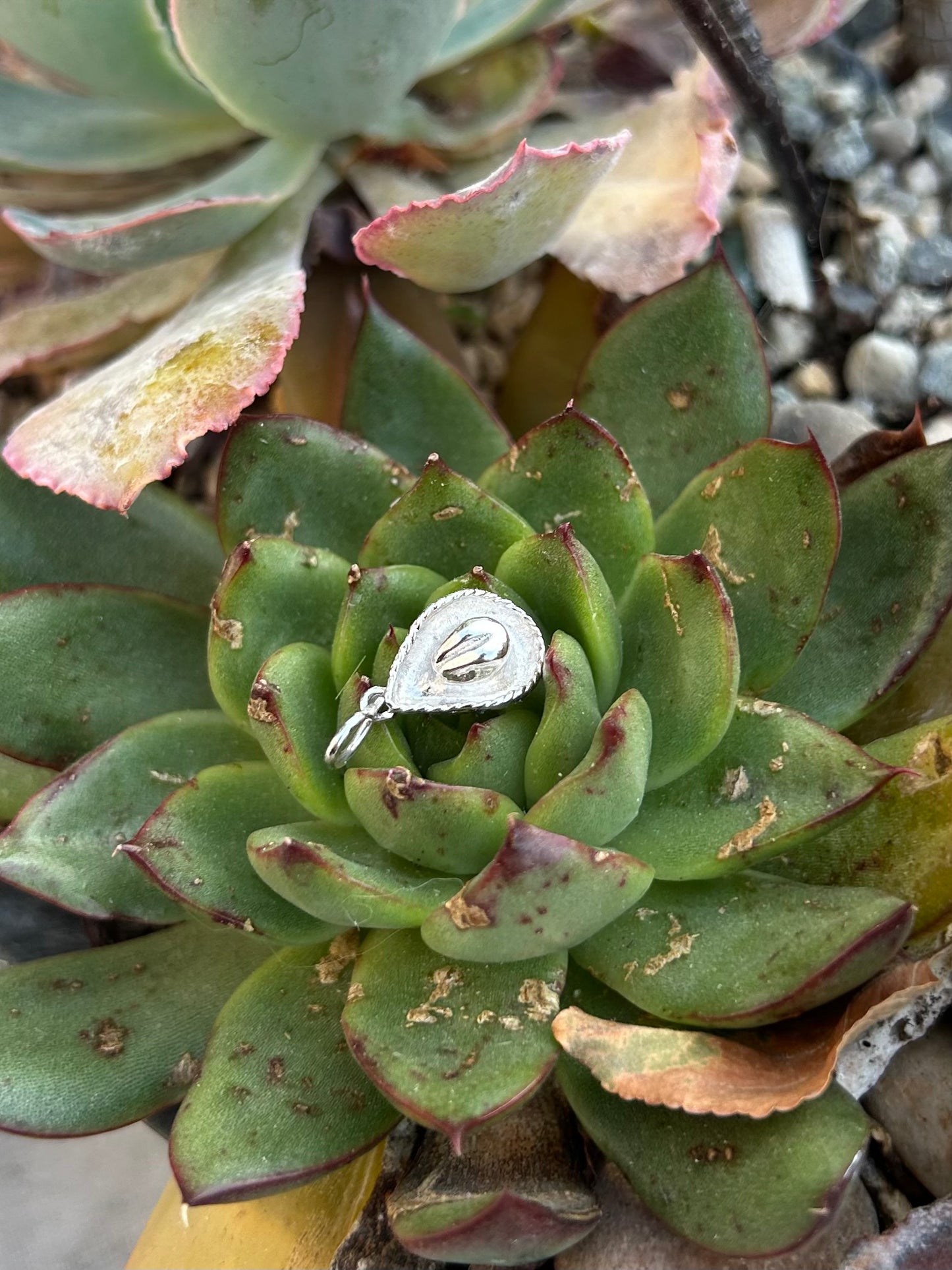 Sterling Silver Assorted Charms